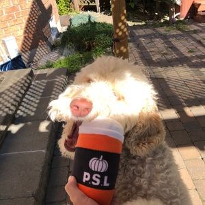 Meet your Posher, Sydney